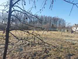 Parduodamas  sklypas Vaitelių k., Klaipėdos r. sav., 12 a ploto 5