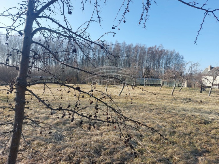 Parduodamas sklypas Vaitelių k., Klaipėdos r. sav., 12 a ploto 5