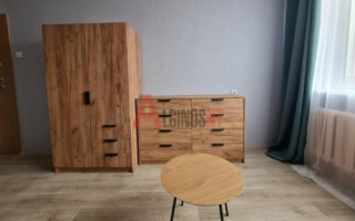 Parduodamas butas Rambyno g., Alksnynė, Klaipėdos m., Klaipėdos m. sav., 17.00 m² ploto 1 kambarys 1