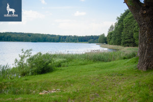 Parduodamas butas Vytauto g., Trakų m., Trakų r. sav., 30.15 m2 ploto, 1 kambariai 3
