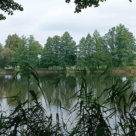 Parduodamas žemės ūkio paskirties sklypas Pramedžiavos k., Raseinių r. sav., 832 a ploto 1