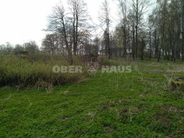 Parduodamas žemės ūkio paskirties sklypas Pramedžiavos k., Raseinių r. sav., 832 a ploto 10