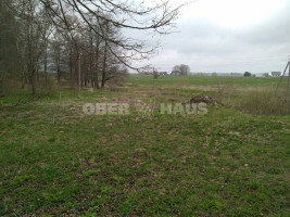 Parduodamas žemės ūkio paskirties sklypas Pramedžiavos k., Raseinių r. sav., 832 a ploto 13