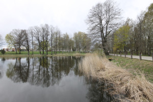 Parduodamas žemės ūkio paskirties sklypas Pramedžiavos k., Raseinių r. sav., 832 a ploto 23