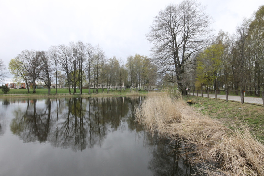 Parduodamas žemės ūkio paskirties sklypas Pramedžiavos k., Raseinių r. sav., 832 a ploto 25