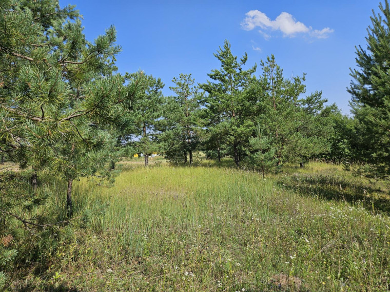 Parduodamas sklypas Slėnio g., Pilialaukio k., Trakų r. sav., 19.21 a ploto 3