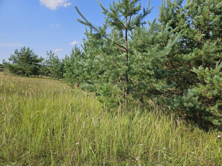 Parduodamas sklypas Slėnio g., Pilialaukio k., Trakų r. sav., 19.21 a ploto 5