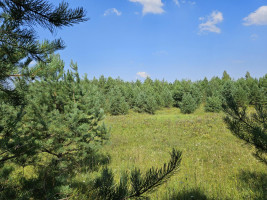 Parduodamas sklypas Slėnio g., Pilialaukio k., Trakų r. sav., 19.21 a ploto 7