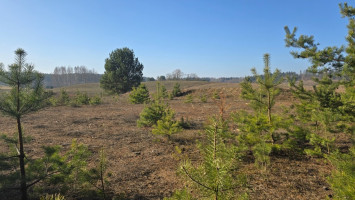 Parduodamas  sklypas Upelio g., Strazdiškių k., Trakų r. sav., 20 a ploto 6