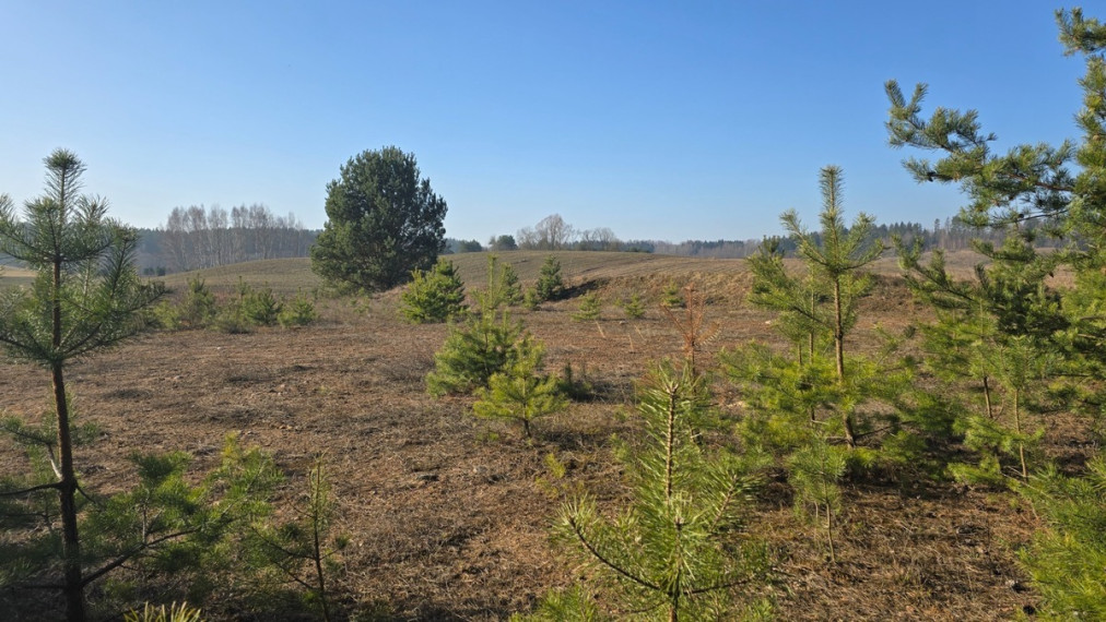 Parduodamas sklypas Upelio g., Strazdiškių k., Trakų r. sav., 20 a ploto 6
