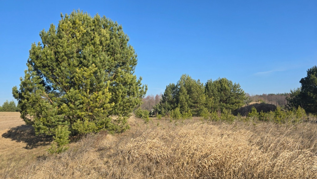 Parduodamas  sklypas Upelio g., Strazdiškių k., Trakų r. sav., 20 a ploto 5