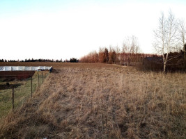 Parduodamas sklypas Tuopų g., Gervėnų k., Šiaulių r. sav., 42 a ploto 11