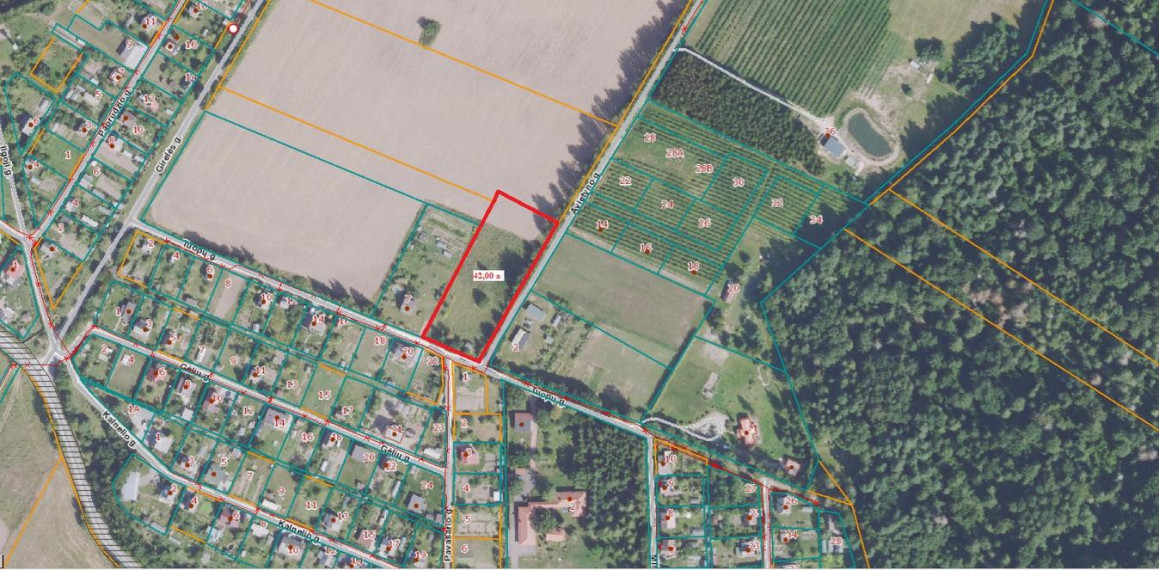Parduodamas sklypas Tuopų g., Gervėnų k., Šiaulių r. sav., 42 a ploto 4