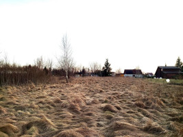 Parduodamas sklypas Tuopų g., Gervėnų k., Šiaulių r. sav., 42 a ploto 5