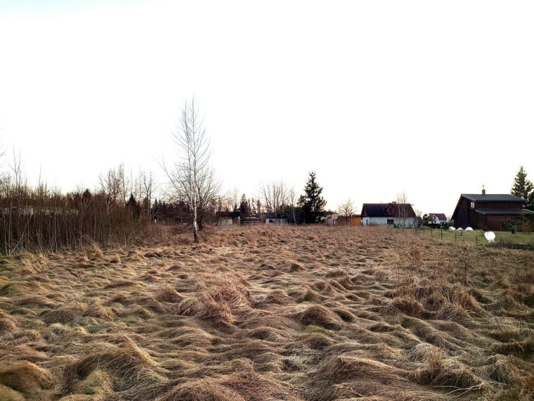 Parduodamas sklypas Tuopų g., Gervėnų k., Šiaulių r. sav., 42 a ploto 5