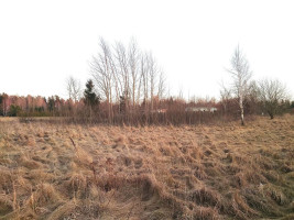 Parduodamas sklypas Tuopų g., Gervėnų k., Šiaulių r. sav., 42 a ploto 6