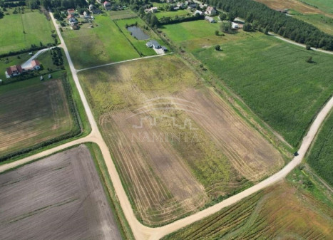 Parduodamas  sklypas Drevernos k., Klaipėdos r. sav., 12 a ploto