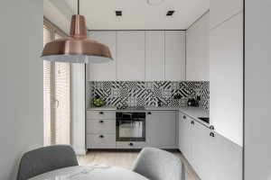 Nuomojamas butas Paupio g., Užupis, Vilniaus m., Vilniaus m. sav., 49.42 m2 ploto, 2 kambariai 8