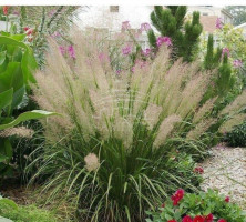 Parduodamas namas Vaitelių k., Klaipėdos r. sav., 30 m2 ploto, 1 aukštai 4