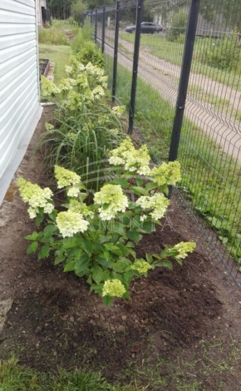Parduodamas namas Vaitelių k., Klaipėdos r. sav., 30 m2 ploto, 1 aukštai 5