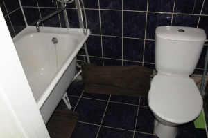 Parduodamas butas Velžio kel., Žemaičiai, Panevėžio m., Panevėžio m. sav., 30.00 m² ploto 1 kambarys 14