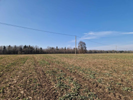 Parduodamas  sklypas Ražių k., Kauno r. sav., 100 a ploto 3