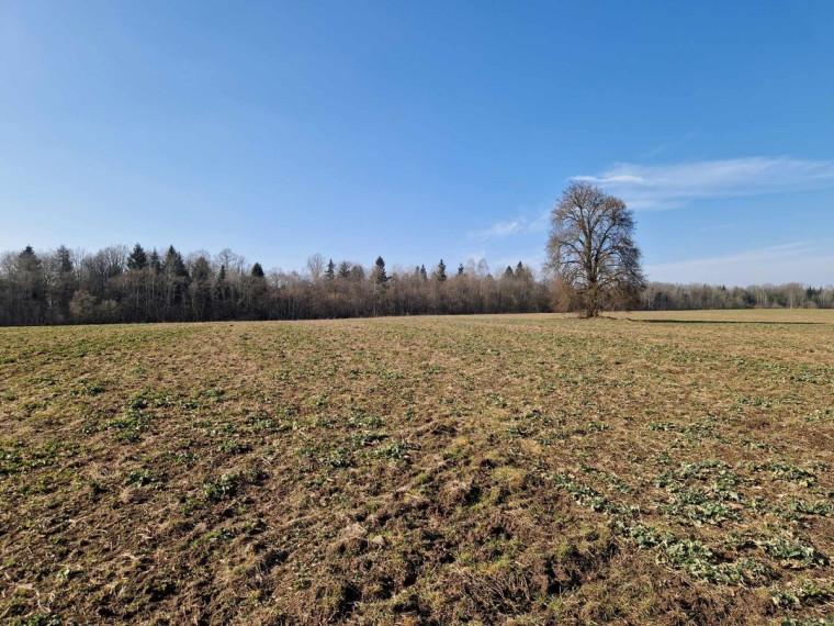 Parduodamas sklypas Ražių k., Kauno r. sav., 100 a ploto 4