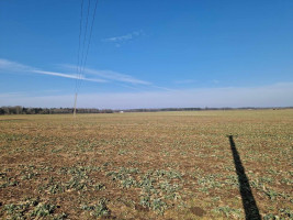 Parduodamas  sklypas Ražių k., Kauno r. sav., 100 a ploto 5