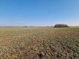 Parduodamas  sklypas Ražių k., Kauno r. sav., 100 a ploto 6