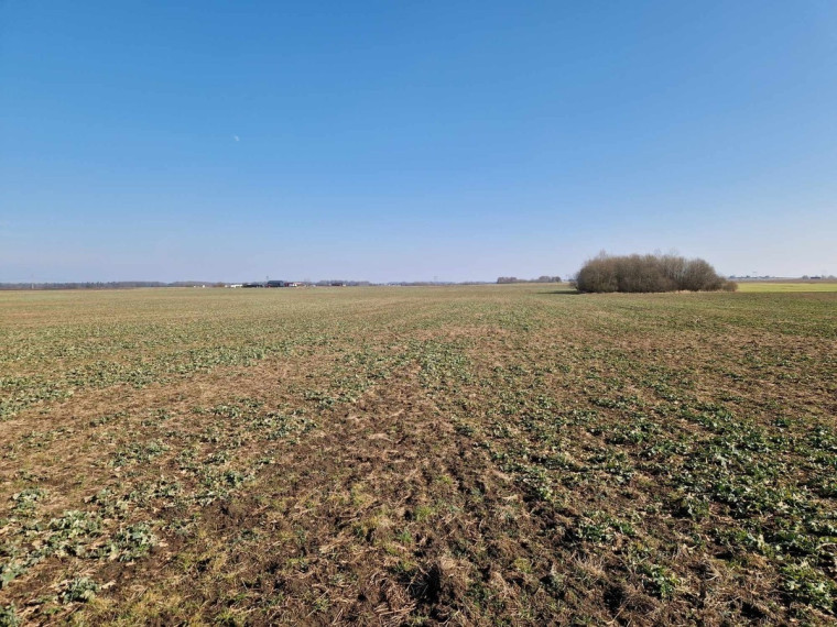 Parduodamas sklypas Ražių k., Kauno r. sav., 100 a ploto 6