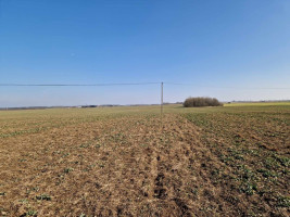 Parduodamas  sklypas Ražių k., Kauno r. sav., 100 a ploto 7