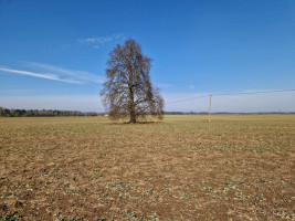 Parduodamas  sklypas Ražių k., Kauno r. sav., 100 a ploto 8