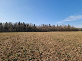 Parduodamas  sklypas Ražių k., Kauno r. sav., 100 a ploto 9