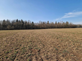Parduodamas  sklypas Ražių k., Kauno r. sav., 100 a ploto 10