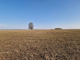 Parduodamas  sklypas Ražių k., Kauno r. sav., 100 a ploto 11