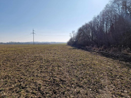 Parduodamas  sklypas Ražių k., Kauno r. sav., 100 a ploto 12