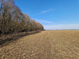 Parduodamas  sklypas Ražių k., Kauno r. sav., 100 a ploto 13