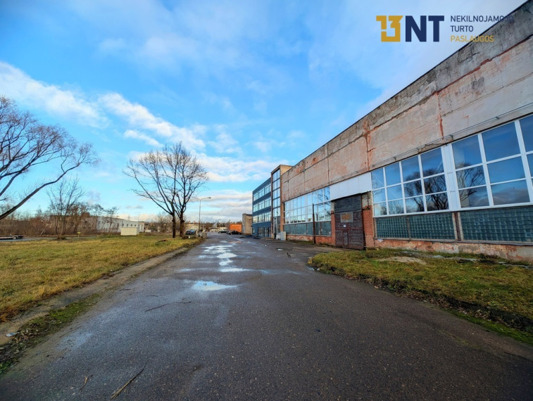 PATALPOS GAMYBAI, SU 10 TONŲ TELFERIU 18