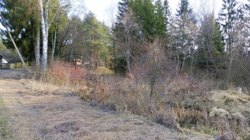 Parduodamas namas Prekybos 3-ioji g., Viktariškių k., Vilniaus r. sav., 38.54 m2 ploto, 1 aukštai 31