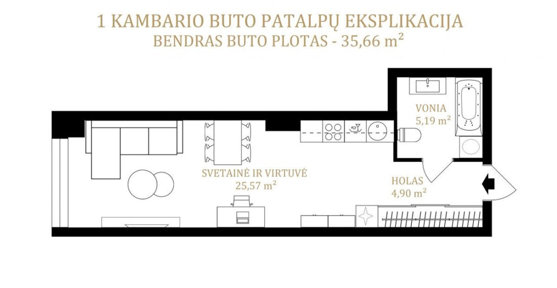 Parduodamas butas T. Ševčenkos g., Naujamiestis, Vilniaus m., Vilniaus m. sav., 35.66 m2 ploto, 1 kambariai 6