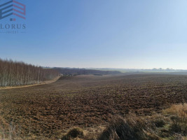 Parduodamas  sklypas Kaniūkų g., Daugirdėlių k., Alytaus r. sav., 355 a ploto 13