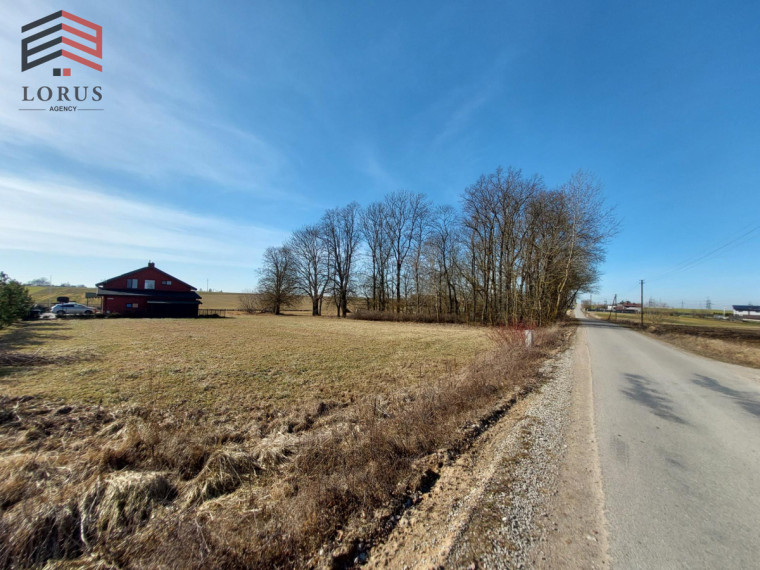 Parduodamas  sklypas Lankų g., Butrimiškių k., Alytaus r. sav., 10 a ploto 8