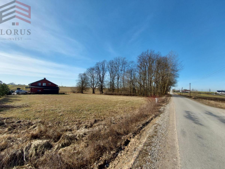 Parduodamas  sklypas Lankų g., Butrimiškių k., Alytaus r. sav., 10 a ploto 2