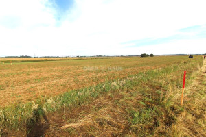 Parduodamas namų valdos paskirties sklypas Kuršių g., Dituvos k., Klaipėdos r. sav., 53.08 a ploto 5