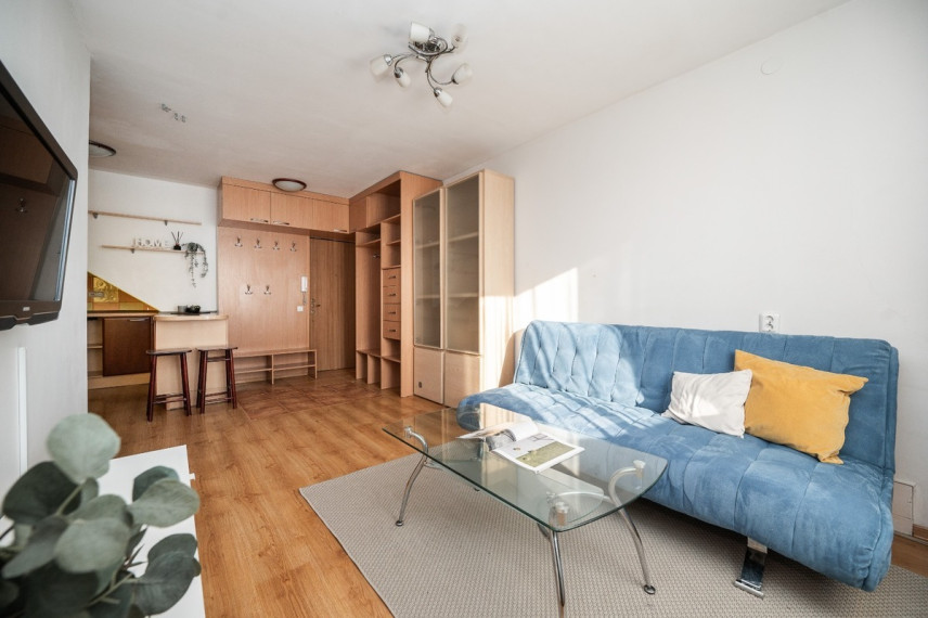 Nuomojamas butas Laisvės pr., Justiniškės, Vilniaus m., Vilniaus m. sav., 38.54 m2 ploto, 2 kambariai 3