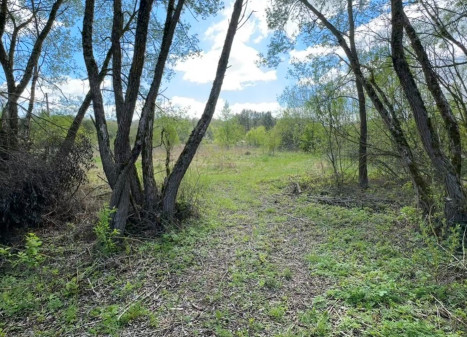 Parduodamas kitos paskirties sklypas Dubių k., Jonavos r. sav., 12 a ploto
