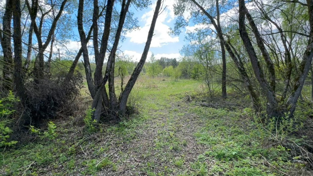 Parduodamas kitos paskirties sklypas Dubių k., Jonavos r. sav., 12 a ploto 1