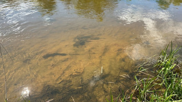 Parduodamas kitos paskirties sklypas Dubių k., Jonavos r. sav., 12 a ploto 7