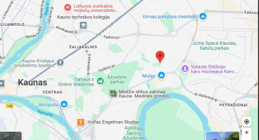 Parduodamas butas Pašilės g., Dainava, Kauno m., Kauno m. sav., 44.67 m2 ploto, 2 kambariai 17