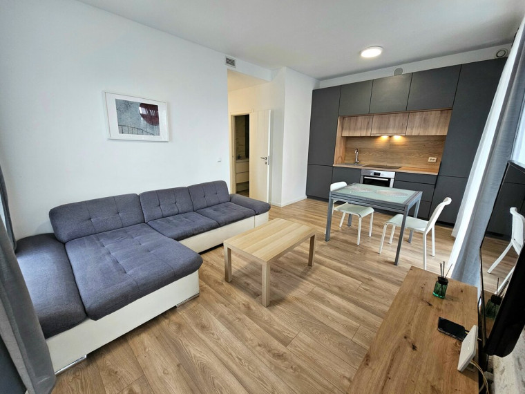 Nuomojamas butas Viršuliškių g., Viršuliškės, Vilniaus m., Vilniaus m. sav., 41 m2 ploto, 2 kambariai 3
